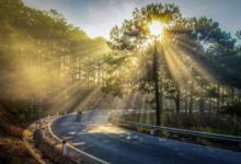 La Luz que Aún Resplandece en Medio de la Oscuridad Es importante más que nada porque se envió directamente a ti Hacer clic para indicarle a Gmail que esta conversación no es importante