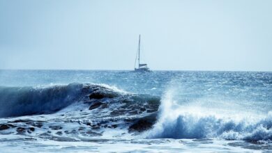 A Través de la Tormenta