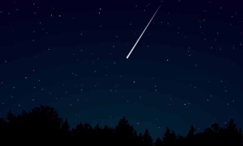 Guiados por la Estrella
