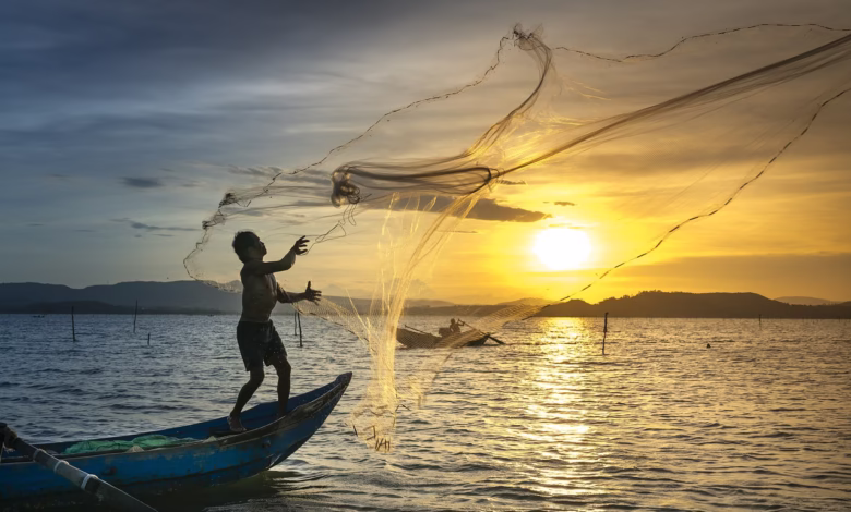 fishing, fisherman, sunset