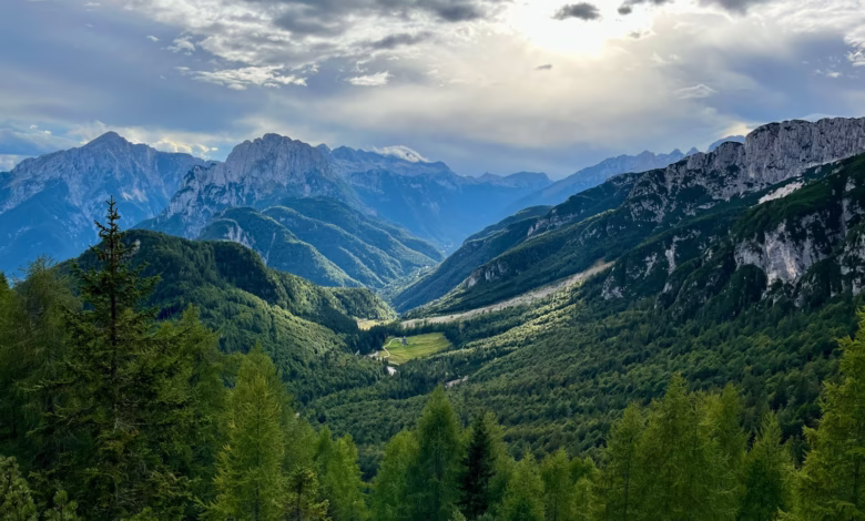 a view of a valley with mountains in the background