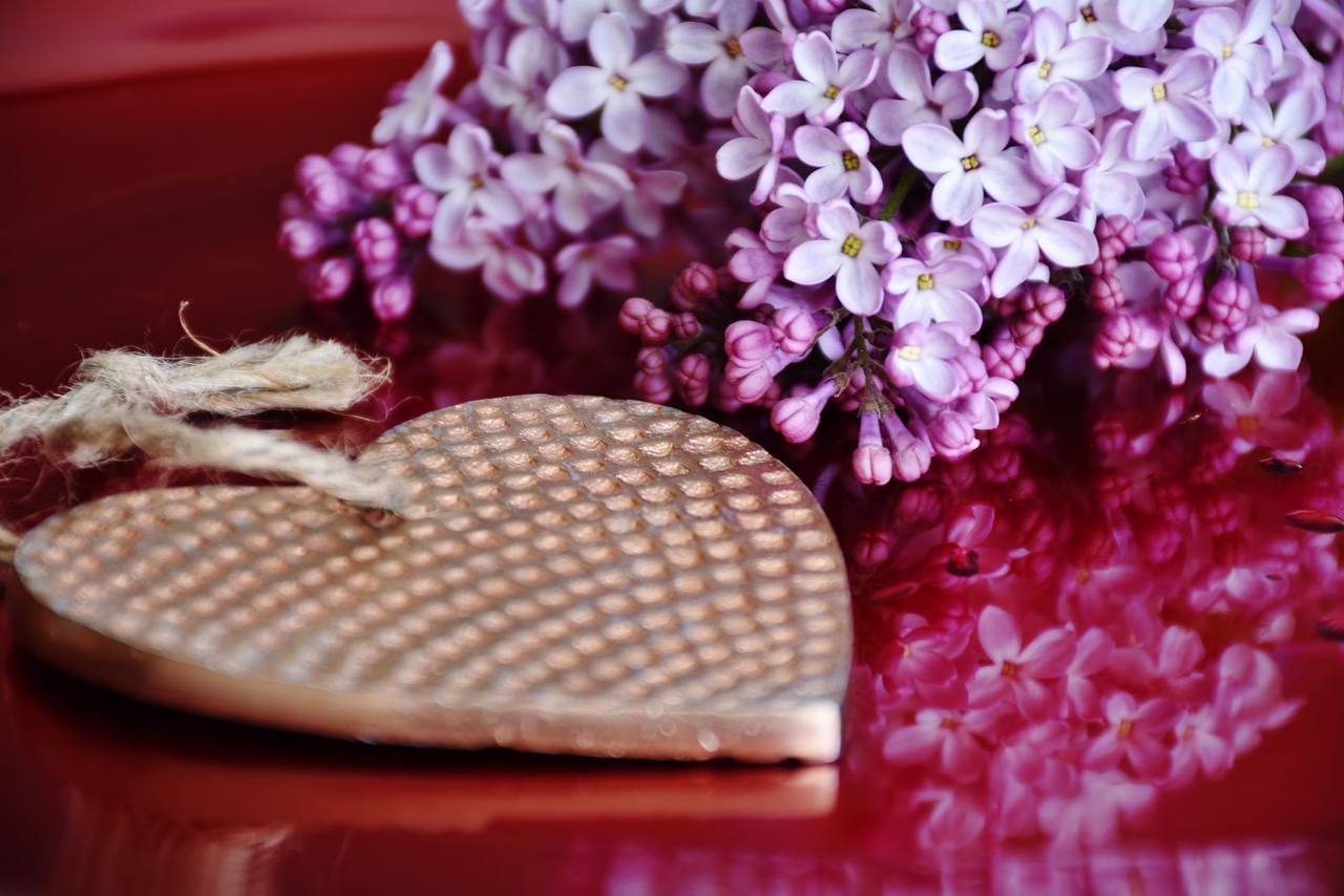 heart, lilac, flower, gift, beautiful flowers, nature, give away, flower wallpaper, flower background, blossoms, thank you, surprise, give a gift, greeting, pleasure, happy mothers day, happiness
