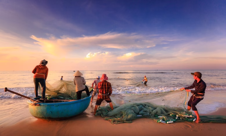 fishermen, beach, boat, fishing, sea, asia, vietnam, fishing net, dawn, sunset, fishing boat, shore, nature, seashore, fishing, fishing, fishing, fishing, fishing, vietnam