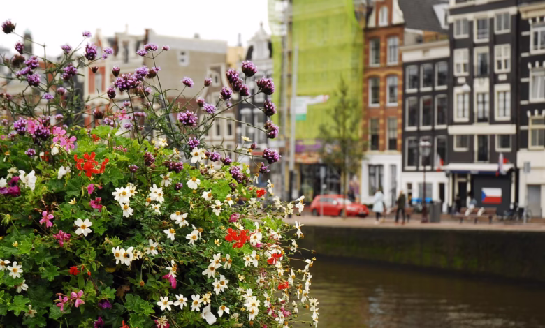 amsterdam, street, city, netherlands, holland, tourism, cityscape