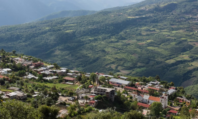 aerial view of green mountains during daytime