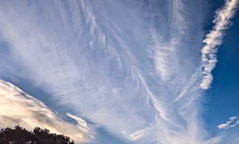 clouds, cirrus, altostratus, sunrise, sky, stratocumulus, sunlight, nature, atmosphere, blue sky, weather