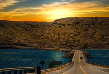 vehicle on road