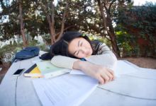 student, girl, study, pupil, tired, woman, park, outdoor, sleeping, peaceful, quiet, bench, books, napping, tired, tired, tired, tired, tired