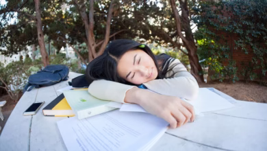 student, girl, study, pupil, tired, woman, park, outdoor, sleeping, peaceful, quiet, bench, books, napping, tired, tired, tired, tired, tired