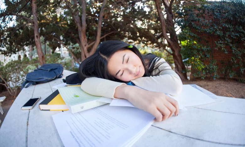 student, girl, study, pupil, tired, woman, park, outdoor, sleeping, peaceful, quiet, bench, books, napping, tired, tired, tired, tired, tired