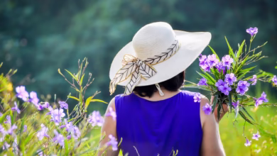 purple dress, purple flowers, girl, woman, lady, female, asian girl, vietnamese girl, flower fields, blooming, sun hat, lady, lady, lady, lady, lady