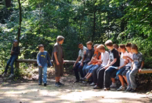 teenager, nature, youth, forest, group, youthful, guys