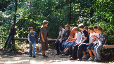 teenager, nature, youth, forest, group, youthful, guys