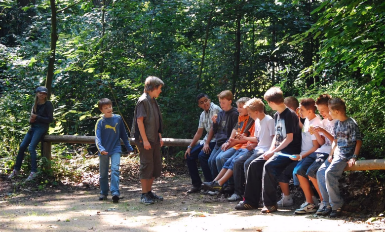teenager, nature, youth, forest, group, youthful, guys
