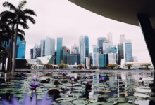 Skyscrapers reflected in water with lily pads.