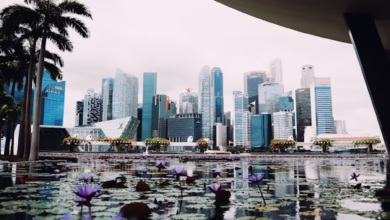 Skyscrapers reflected in water with lily pads.