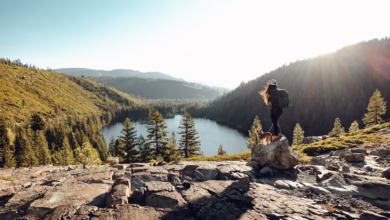 Woman and dog enjoy a scenic mountain lake view.