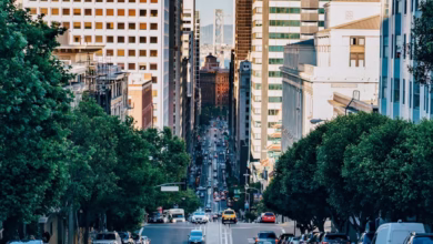 gray concrete city road during daytime