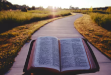 opened book on brown field during daytime