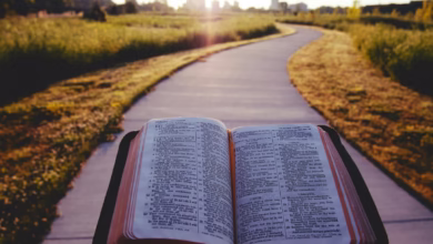 opened book on brown field during daytime