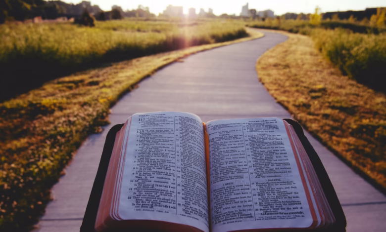opened book on brown field during daytime