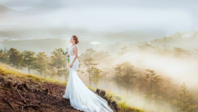 bride, wedding, wedding dress, forest, woods, haze, nature, dawn, bride, bride, bride, bride, wedding, wedding, wedding, wedding, wedding, wedding dress, wedding dress, wedding dress