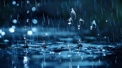 water, droplets, rain, blue, music, notes, splash, symphony, macro, reflection, shimmer, bokeh, light, liquid, nature, harmony, rhythm, surface, melody, dynamic, wet, artistic, abstract, aqua, bright, tempo, ai generated