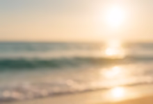 ai generated, shell, summer, sun, sunshine, nature, summer pictures, outdoors, sea, ocean, beach, water, landscape, horizon, vacations, coast, to travel