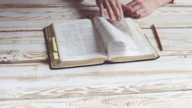person reading book