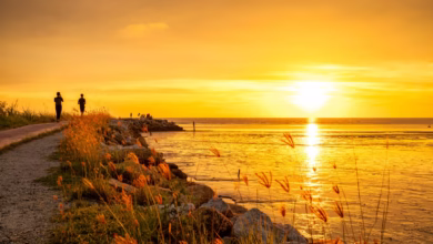 People are walking towards the sunset by the ocean.