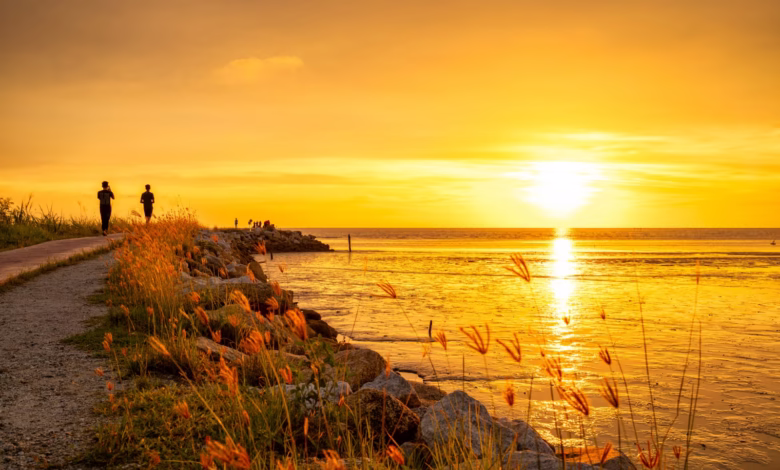 People are walking towards the sunset by the ocean.