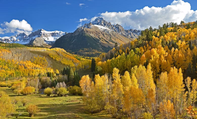 green and beige trees beside mountains