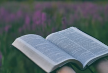 person holding open book near pink flower field selective focus photography