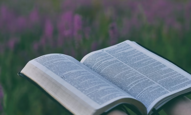 person holding open book near pink flower field selective focus photography
