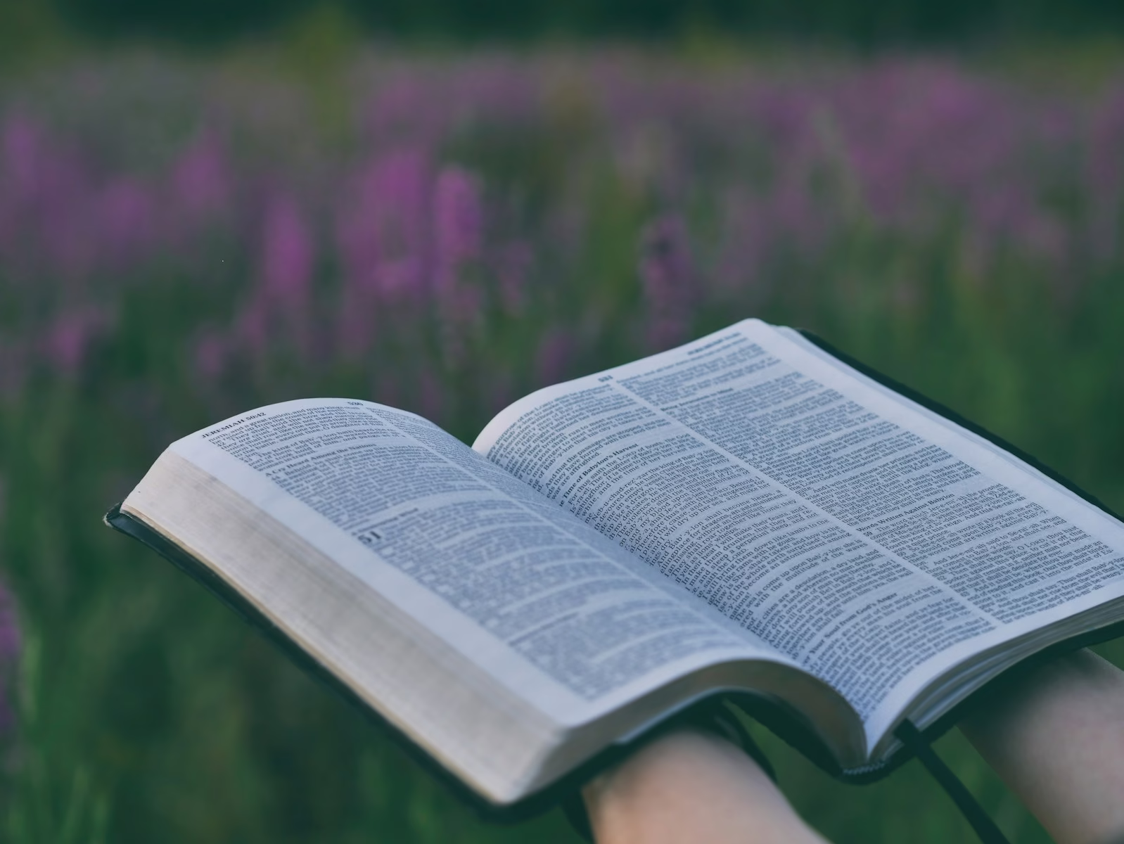 person holding open book near pink flower field selective focus photography
