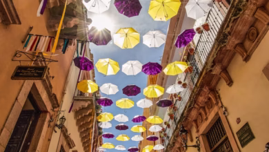 pink and white umbrella hanging on the street