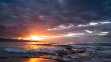 body of water during golden hour
