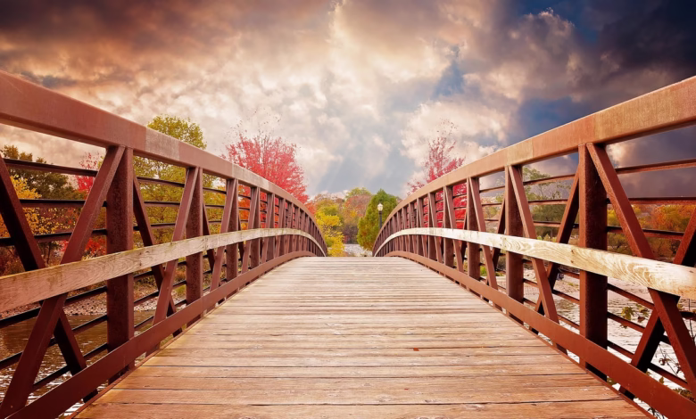 bridge, nature, fall, river, evening, scenic, autumn, colors, wooden, beautiful, nature wallpaper, brown nature, brown beauty, brown wallpaper, brown river, brown bridge, brown color, brown natural, bridge, bridge, bridge, bridge, bridge, fall, autumn