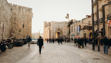 people walking on street