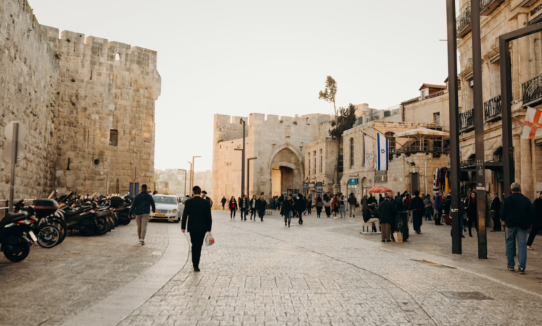 people walking on street