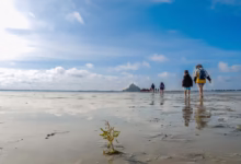 mont saint michel, france, normandy, abbey, chateau, monument, handle, monastery, bay, hiker