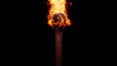 fire, torch, flame, night, light, lighting, burn, torch, torch, torch, torch, torch