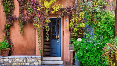 door, building, vegetation, facade, house, town, street, building, house, house, house, house, house