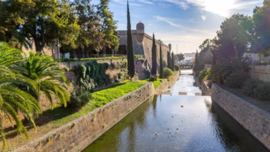 a river running through a lush green park
