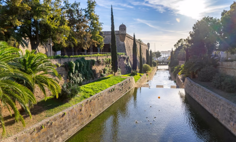 a river running through a lush green park