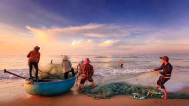 fishermen, beach, boat, fishing, sea, nature, asia, vietnam, fishing net, dawn, sunset, fishing boat, shore, seashore