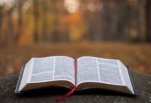 bible page on gray concrete surface
