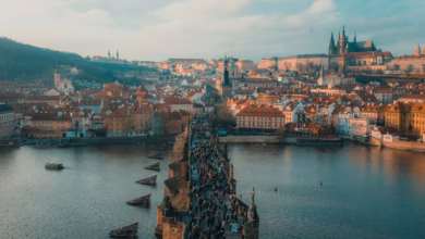 people walking on bridge