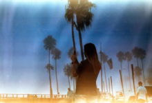 A woman standing in front of a palm tree