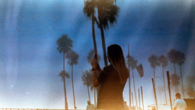 A woman standing in front of a palm tree